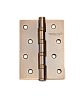 Универсальные врезные петли Петля универсальная TRODOS 100*70*2,5 CF 